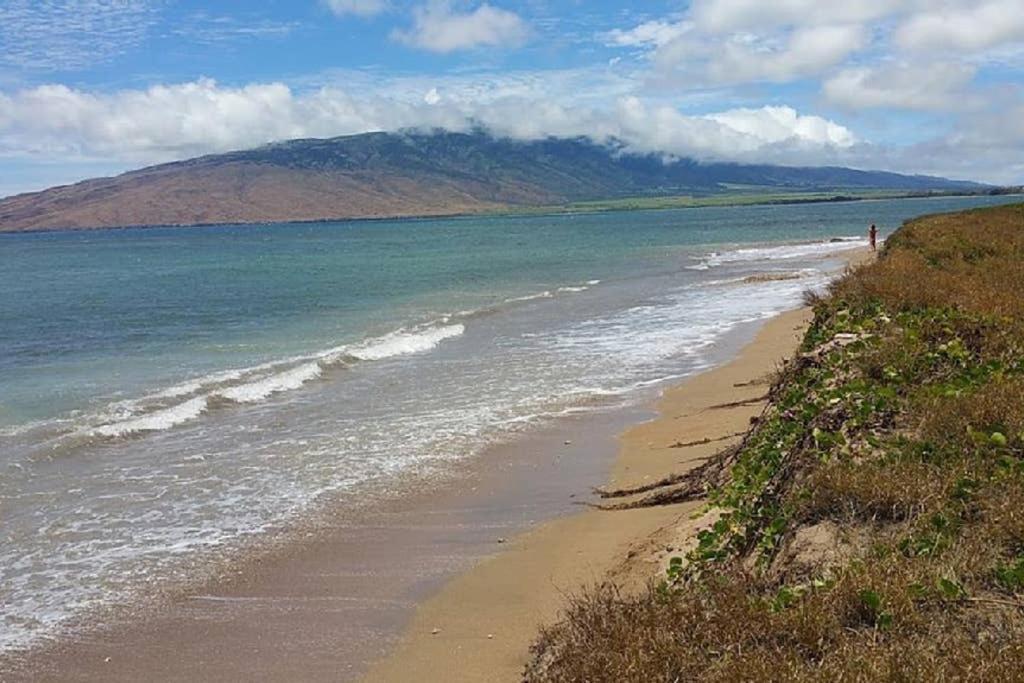Oceanfront Penthouse With Amazing Views At Kauhale Makai Apartamento Kihei Exterior foto
