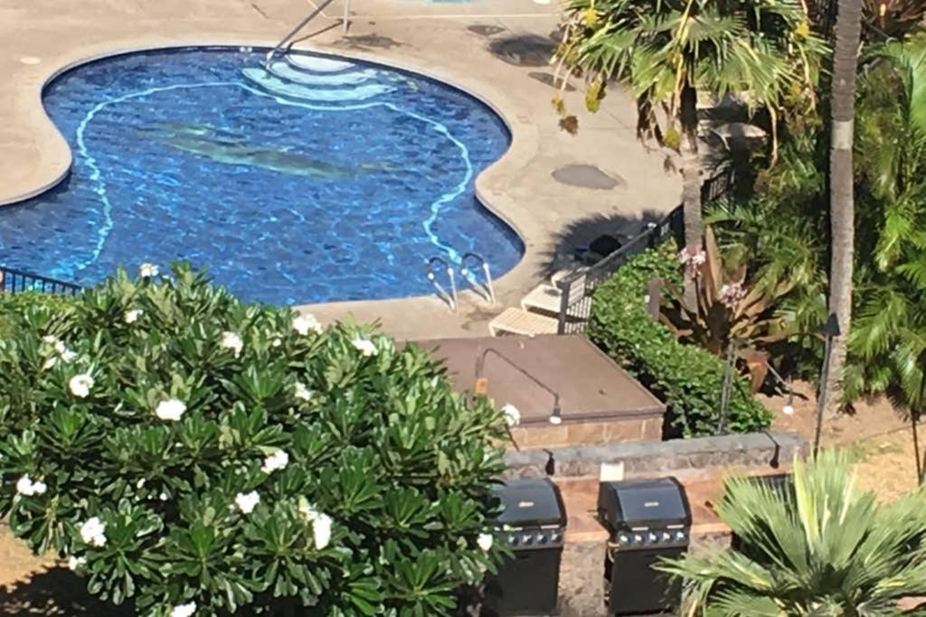 Oceanfront Penthouse With Amazing Views At Kauhale Makai Apartamento Kihei Exterior foto