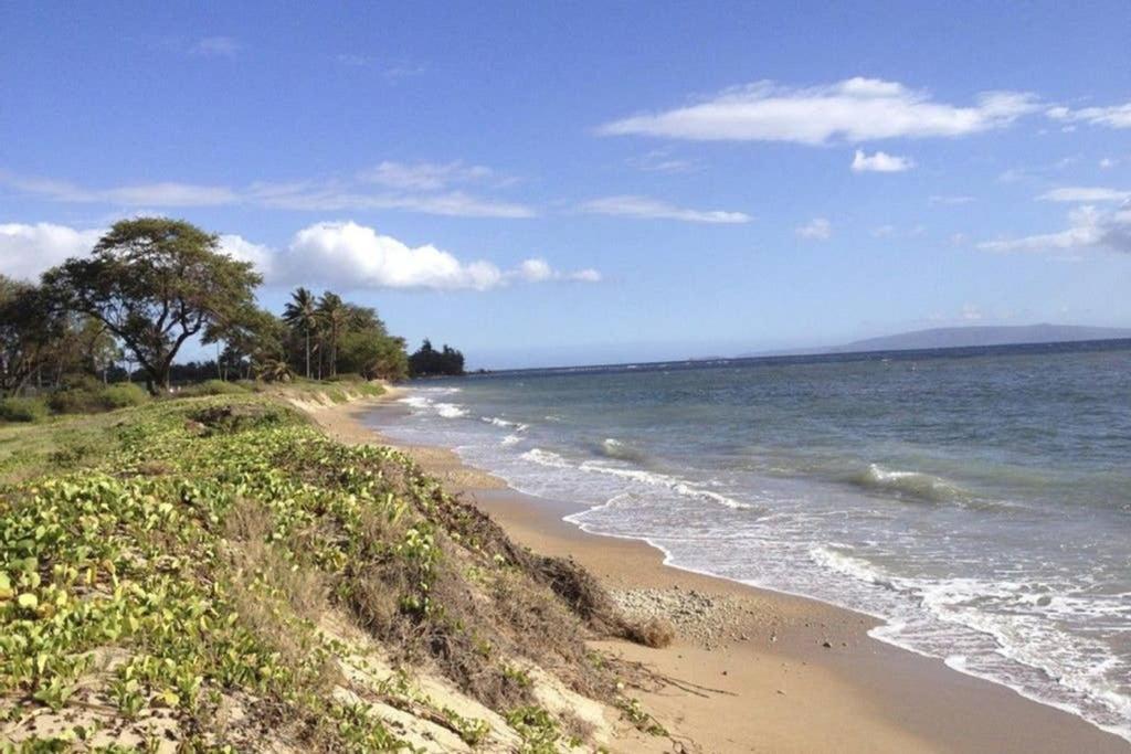 Oceanfront Penthouse With Amazing Views At Kauhale Makai Apartamento Kihei Exterior foto